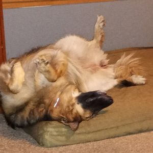 Meet your Posher, Tracy